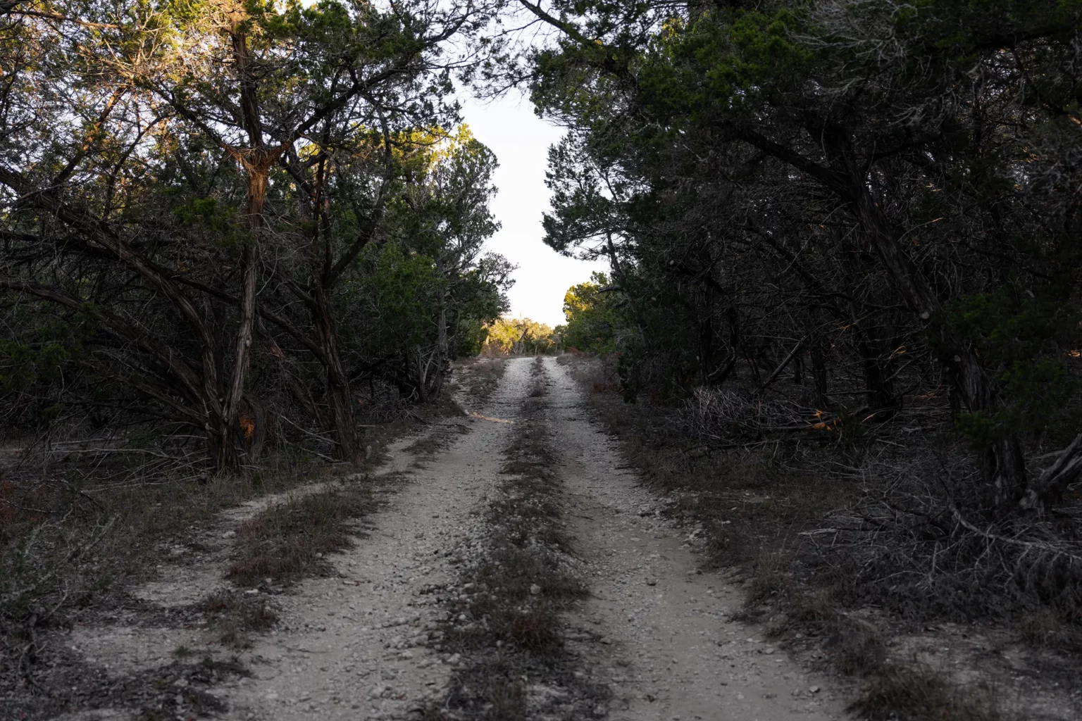 texas hill country view of open land